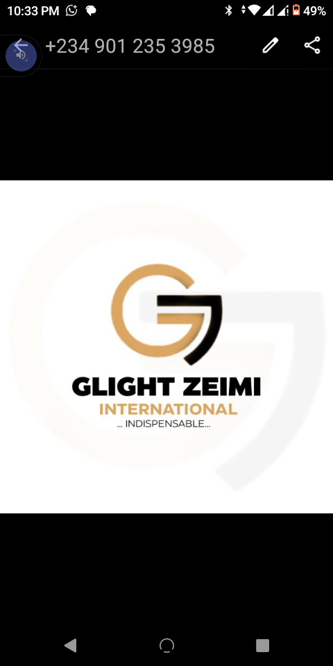 GLIGHT ZEIMI INTERNATIONAL LTD 